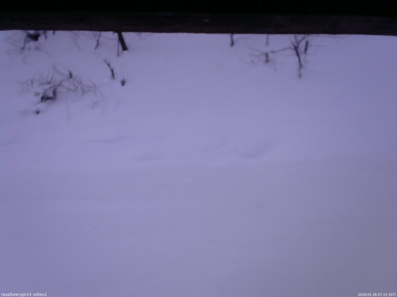 長野県菅平高原 ゆたか山荘 南側 2026/01/26 07:15