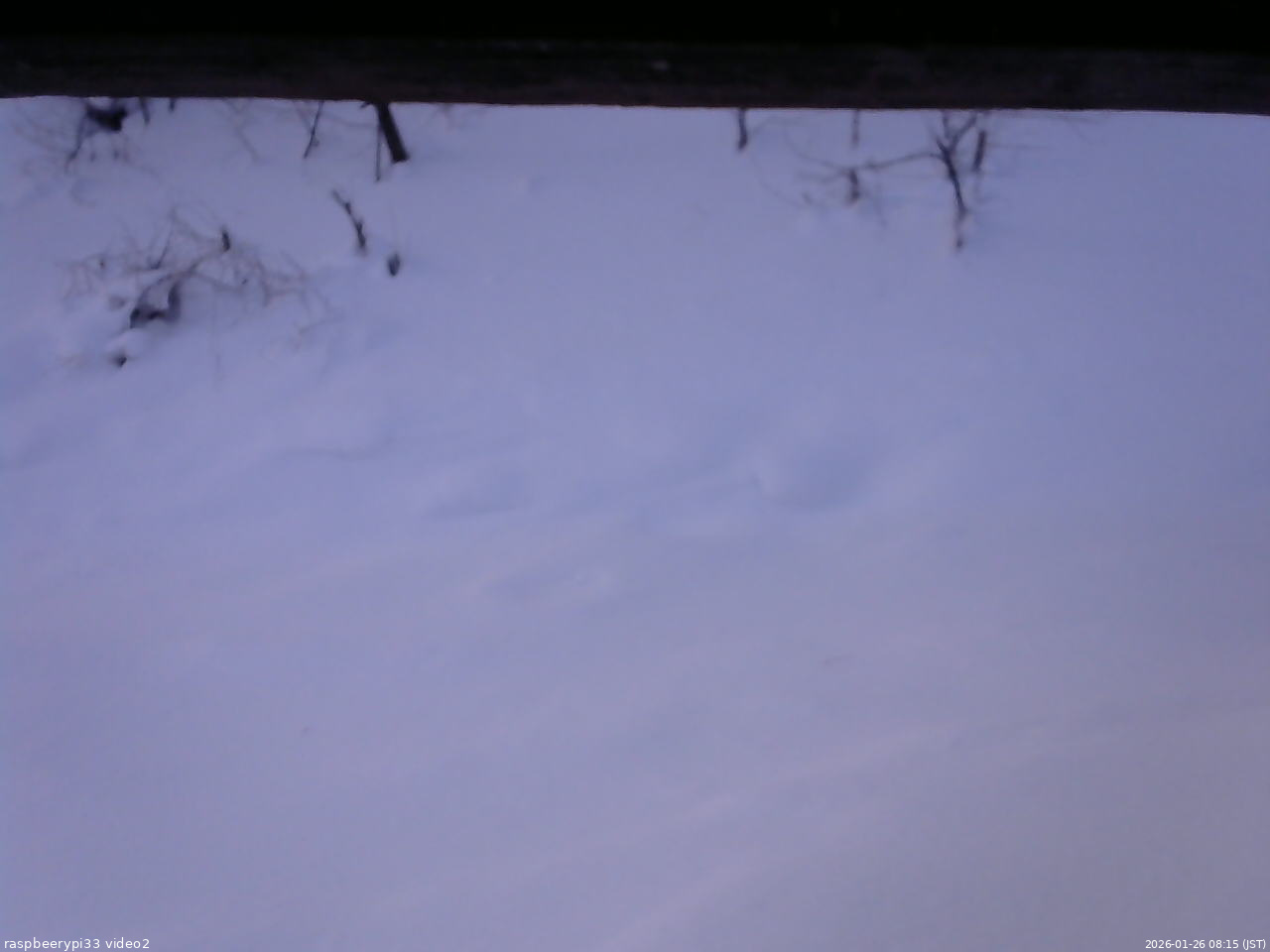 長野県菅平高原 ゆたか山荘 南側 2026/01/26 08:15