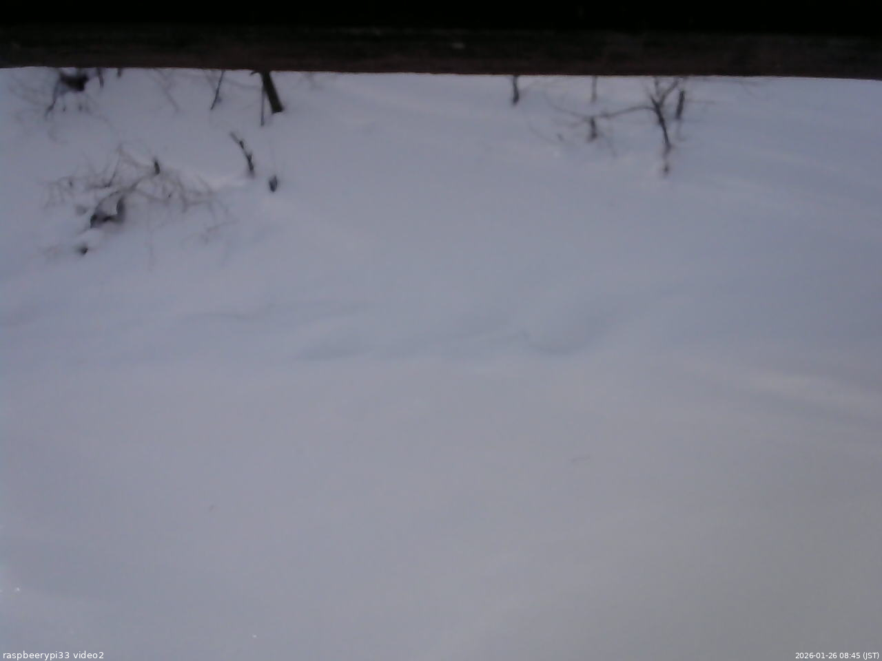 長野県菅平高原 ゆたか山荘 南側 2026/01/26 08:45