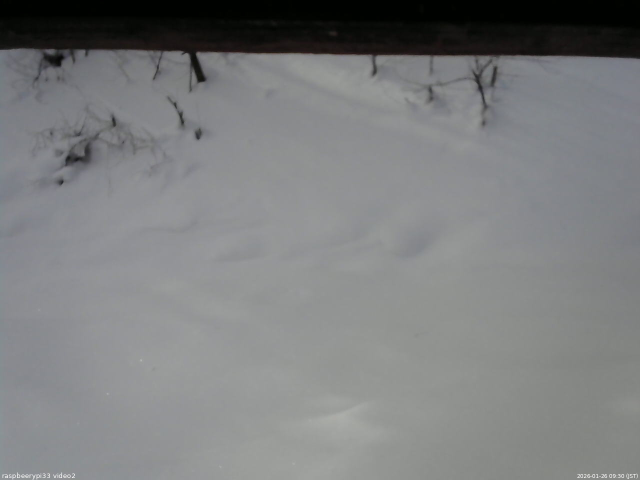 長野県菅平高原 ゆたか山荘 南側 2026/01/26 09:30