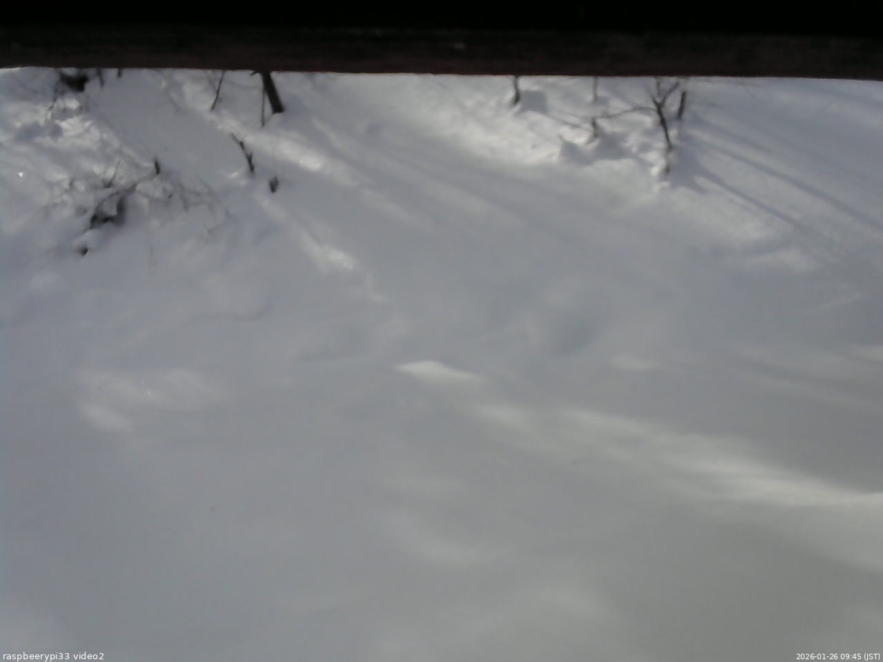 長野県菅平高原 ゆたか山荘 南側 2026/01/26 09:45