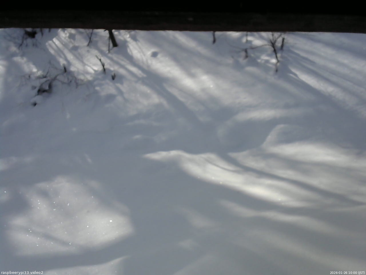 長野県菅平高原 ゆたか山荘 南側 2026/01/26 10:00