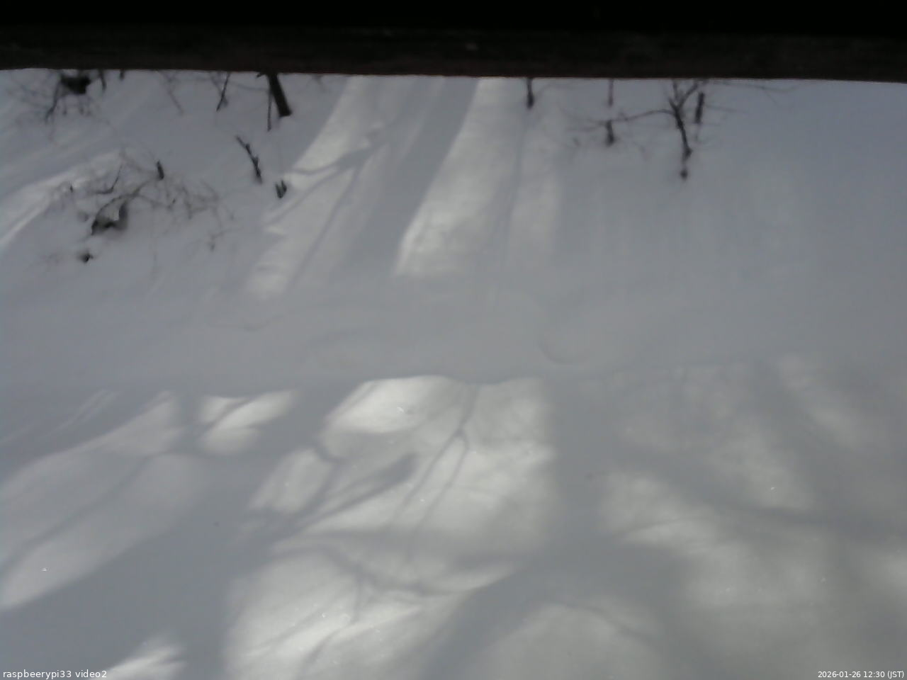 長野県菅平高原 ゆたか山荘 南側 2026/01/26 12:30