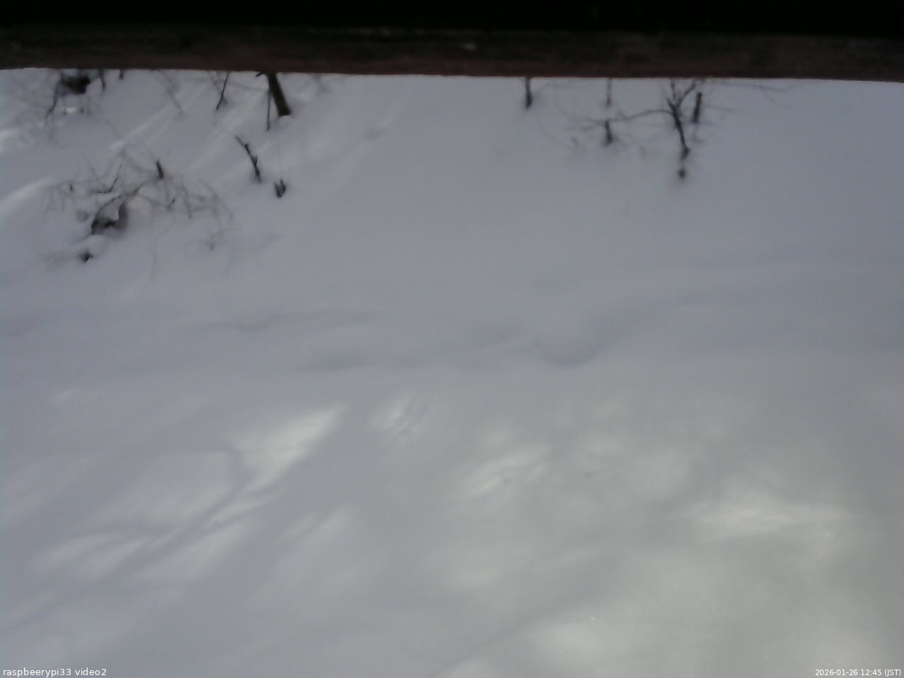 長野県菅平高原 ゆたか山荘 南側 2026/01/26 12:45