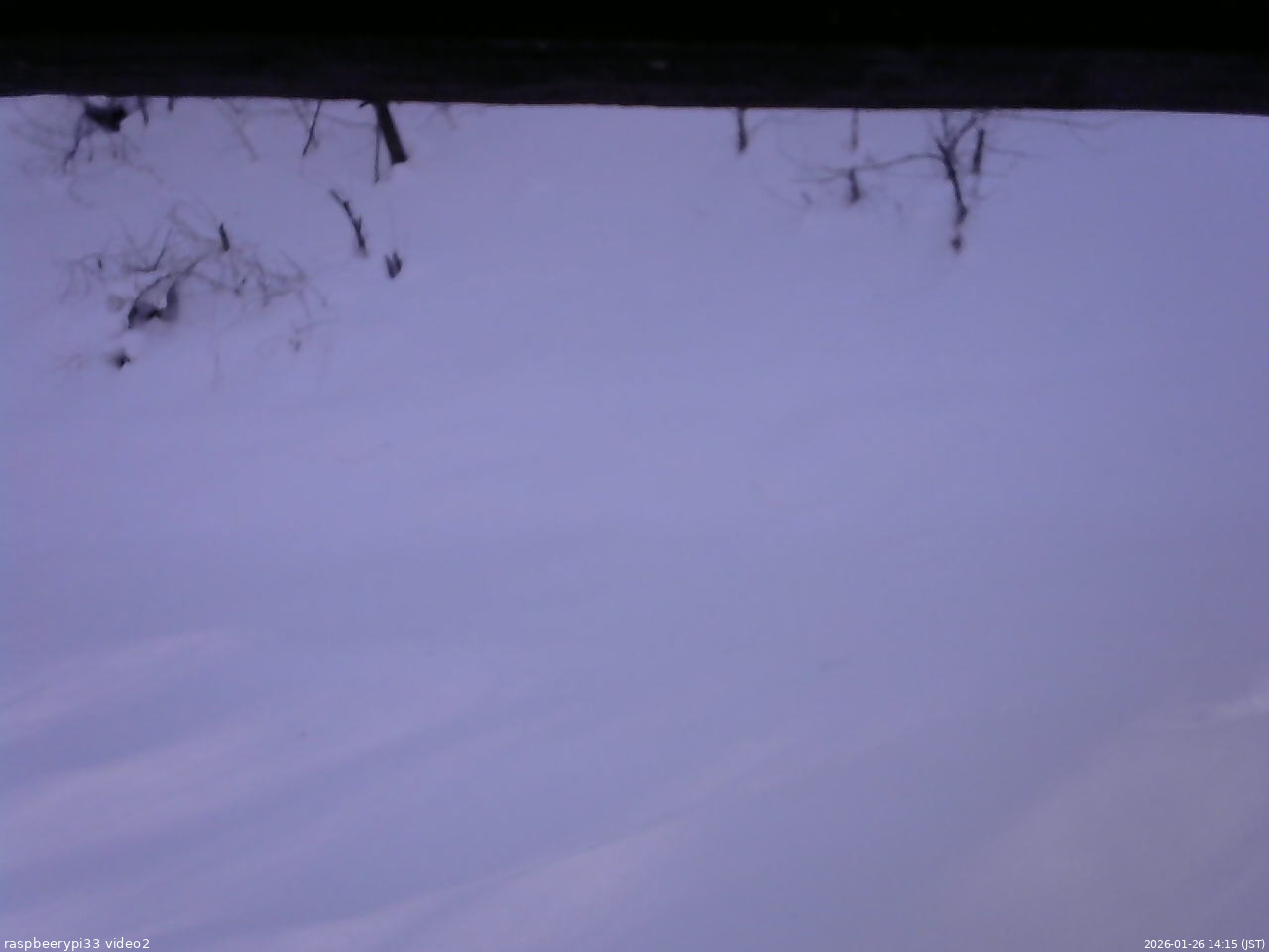 長野県菅平高原 ゆたか山荘 南側 2026/01/26 14:15