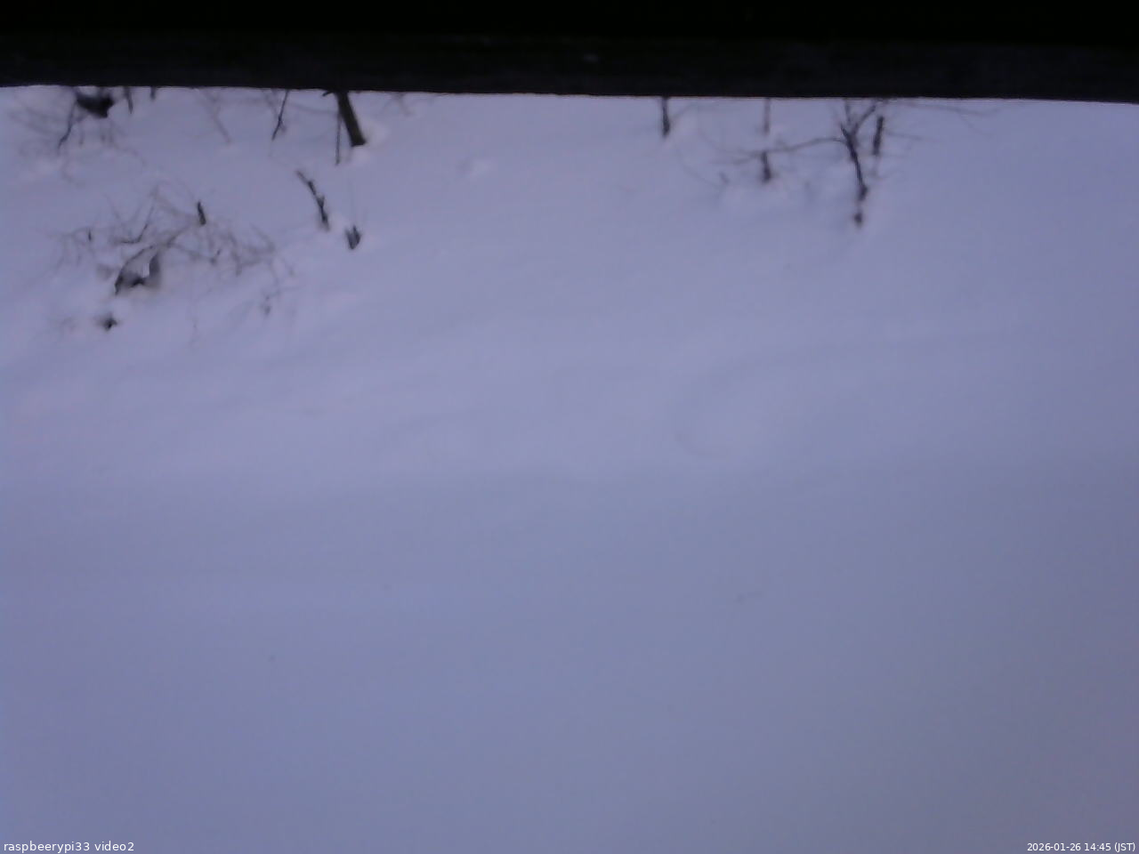 長野県菅平高原 ゆたか山荘 南側 2026/01/26 14:45