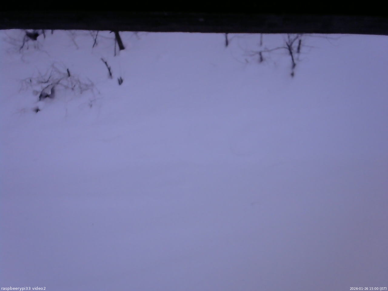 長野県菅平高原 ゆたか山荘 南側 2026/01/26 15:00