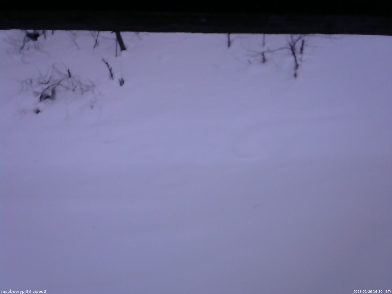 長野県菅平高原 ゆたか山荘 南側 2026/01/26 16:30