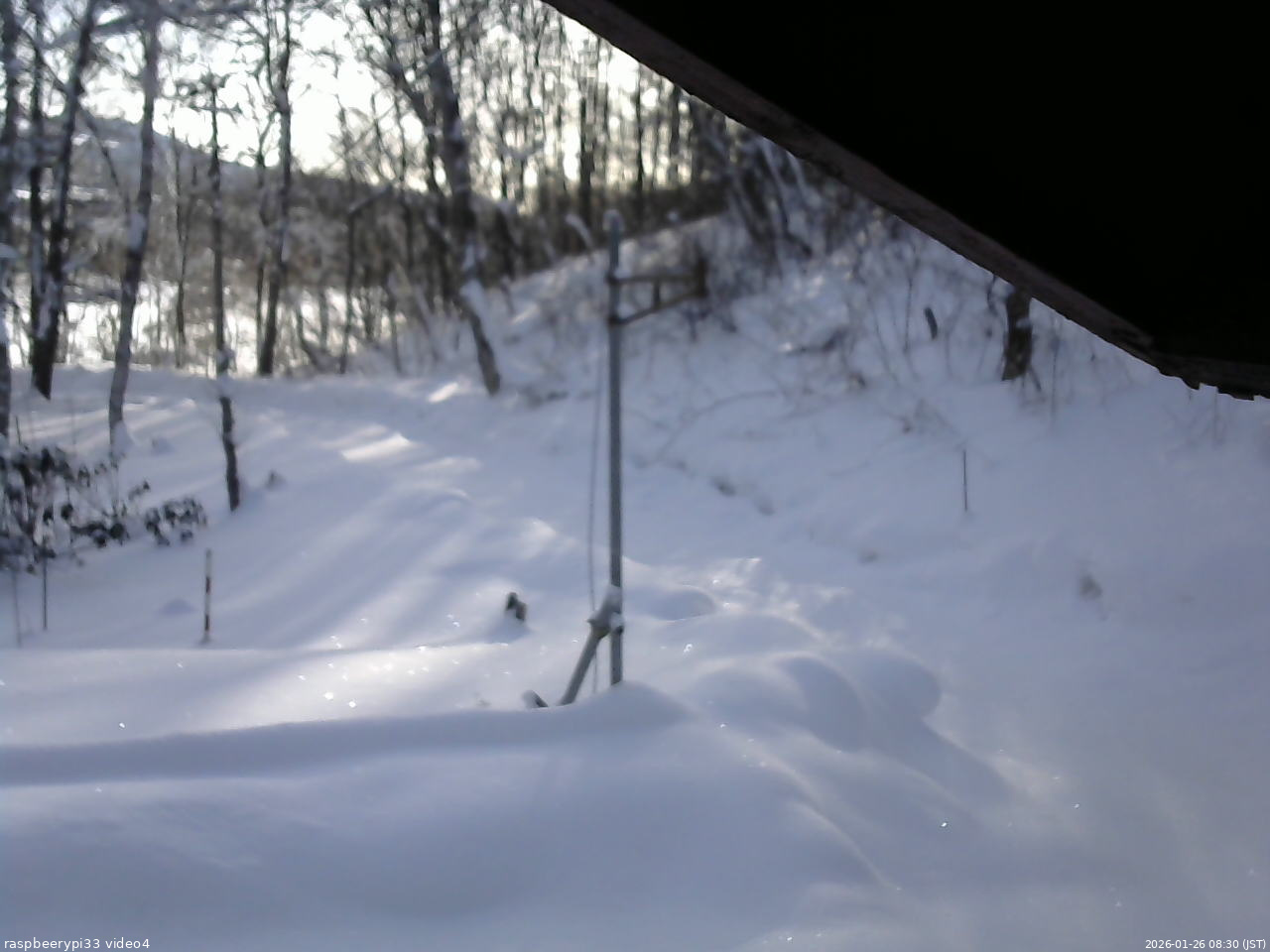 長野県菅平高原 ゆたか山荘 東側(坂下) 2026/01/26 08:30