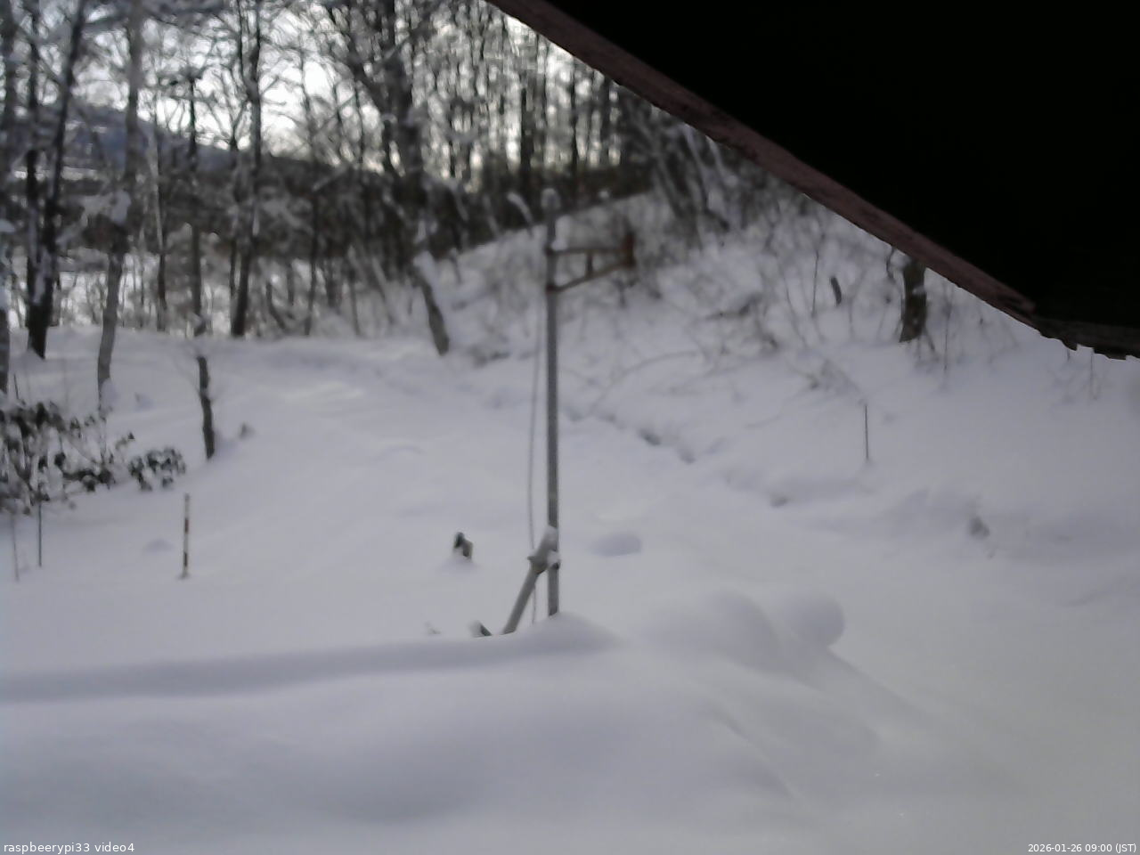 長野県菅平高原 ゆたか山荘 東側(坂下) 2026/01/26 09:00