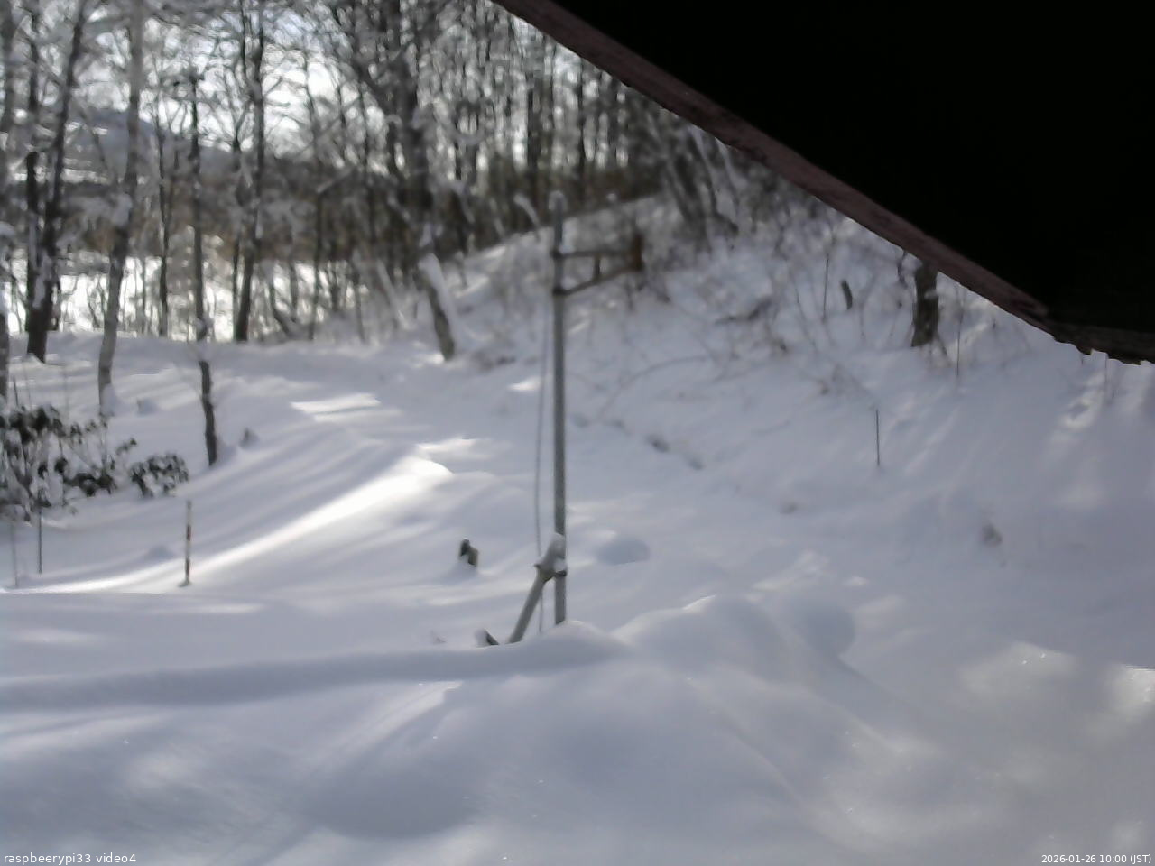 長野県菅平高原 ゆたか山荘 東側(坂下) 2026/01/26 10:00