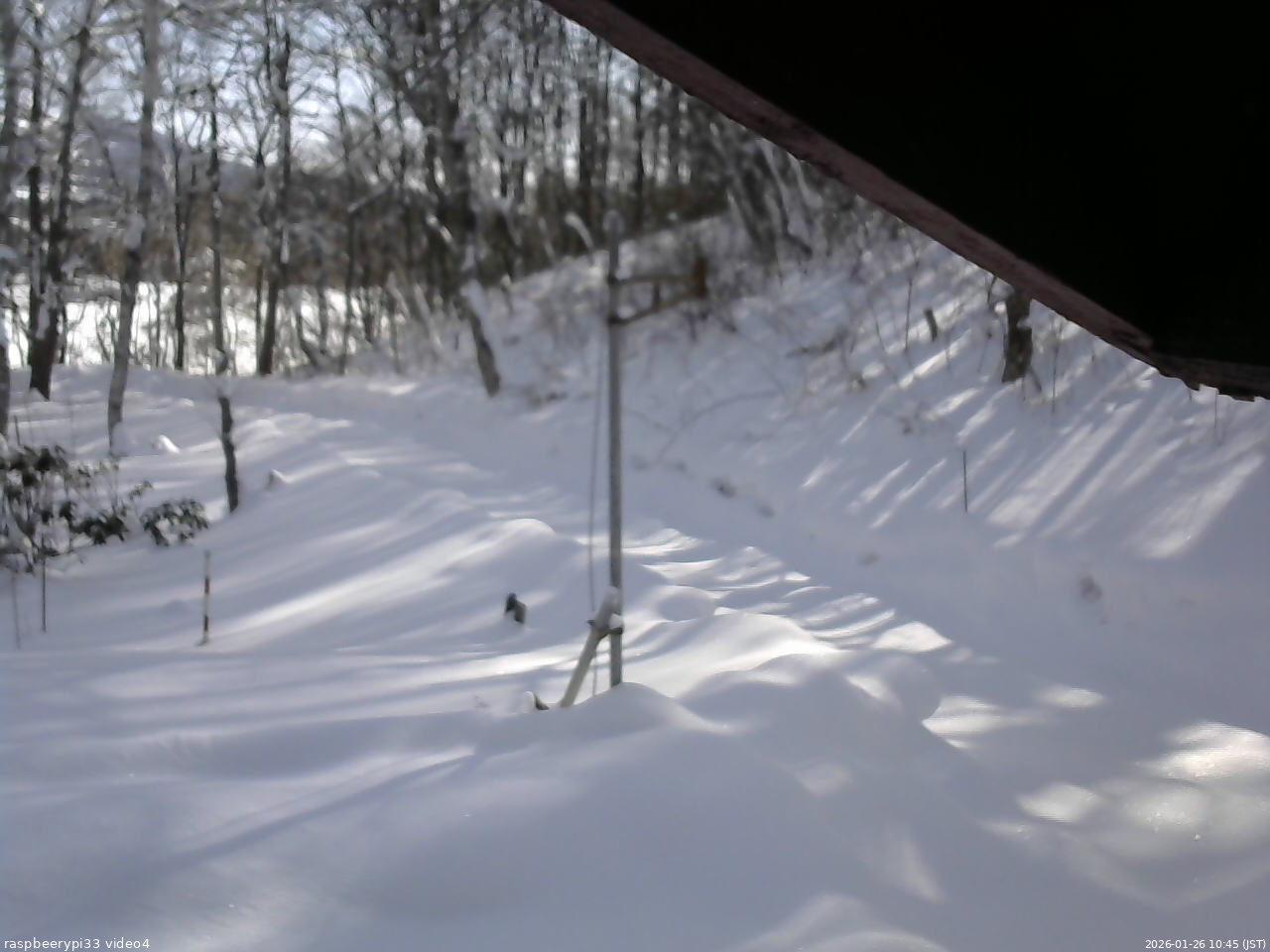 長野県菅平高原 ゆたか山荘 東側(坂下) 2026/01/26 10:45
