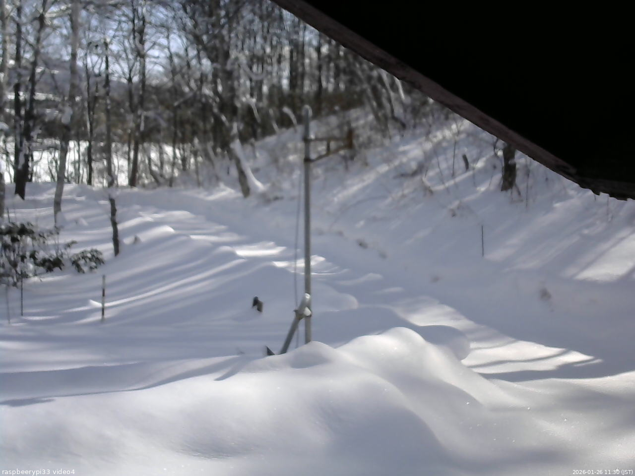 長野県菅平高原 ゆたか山荘 東側(坂下) 2026/01/26 11:30