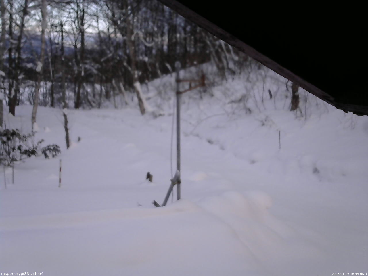 長野県菅平高原 ゆたか山荘 東側(坂下) 2026/01/26 16:45