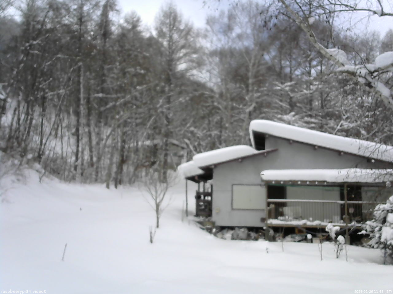 長野県菅平高原 ゆたか山荘 西側(坂上) 2026/01/26 11:45