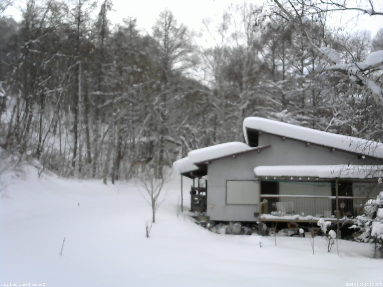 長野県菅平高原 ゆたか山荘 西側(坂上) 2026/01/26 12:30