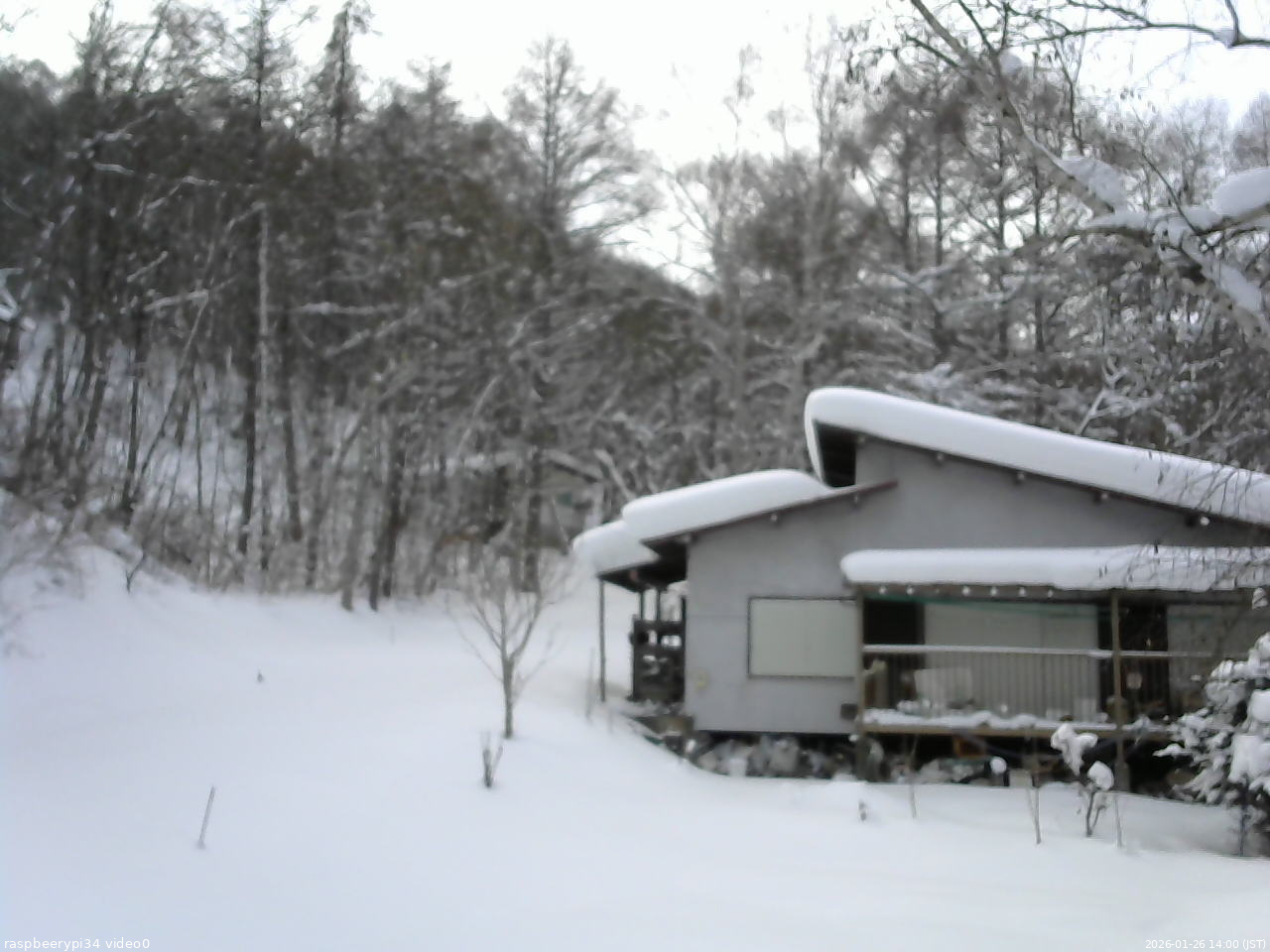 長野県菅平高原 ゆたか山荘 西側(坂上) 2026/01/26 14:00