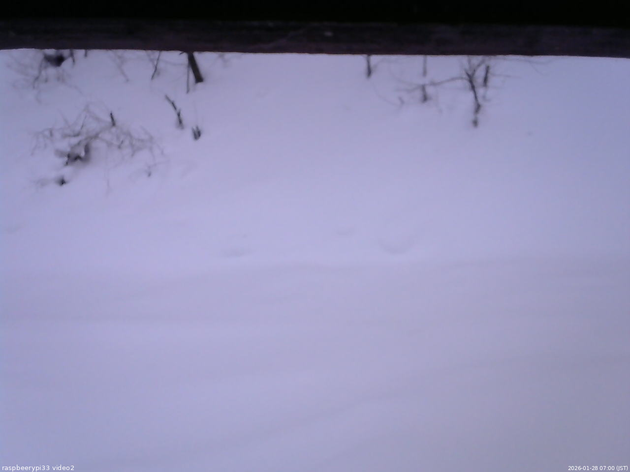 長野県菅平高原 ゆたか山荘 南側 2026/01/28 07:00