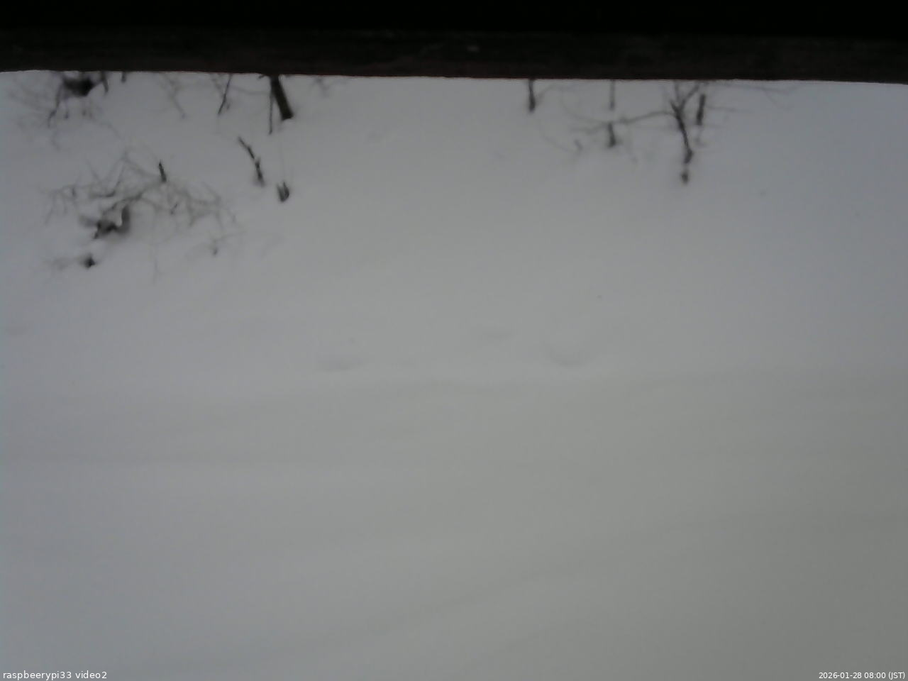 長野県菅平高原 ゆたか山荘 南側 2026/01/28 08:00