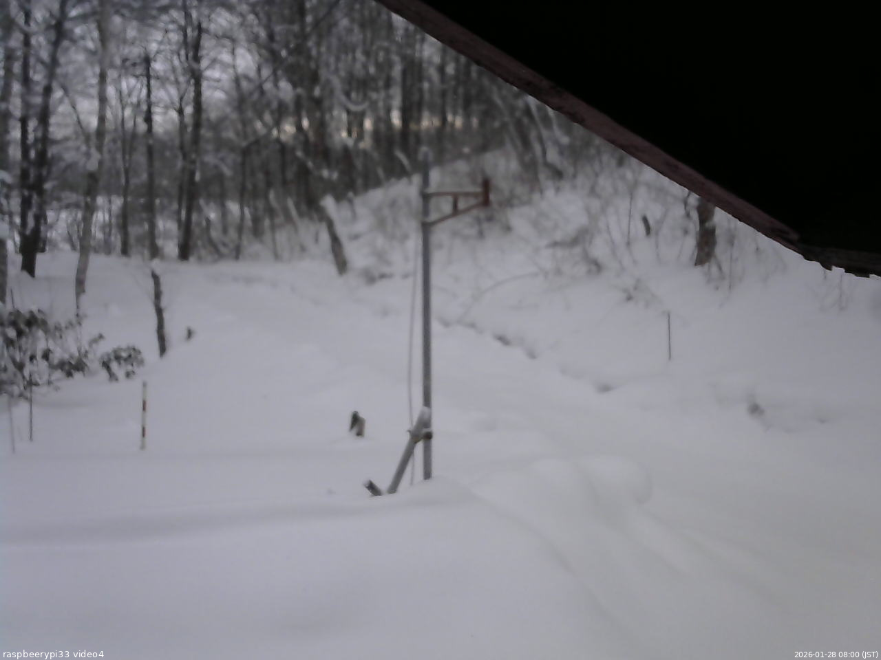 長野県菅平高原 ゆたか山荘 東側(坂下) 2026/01/28 08:00