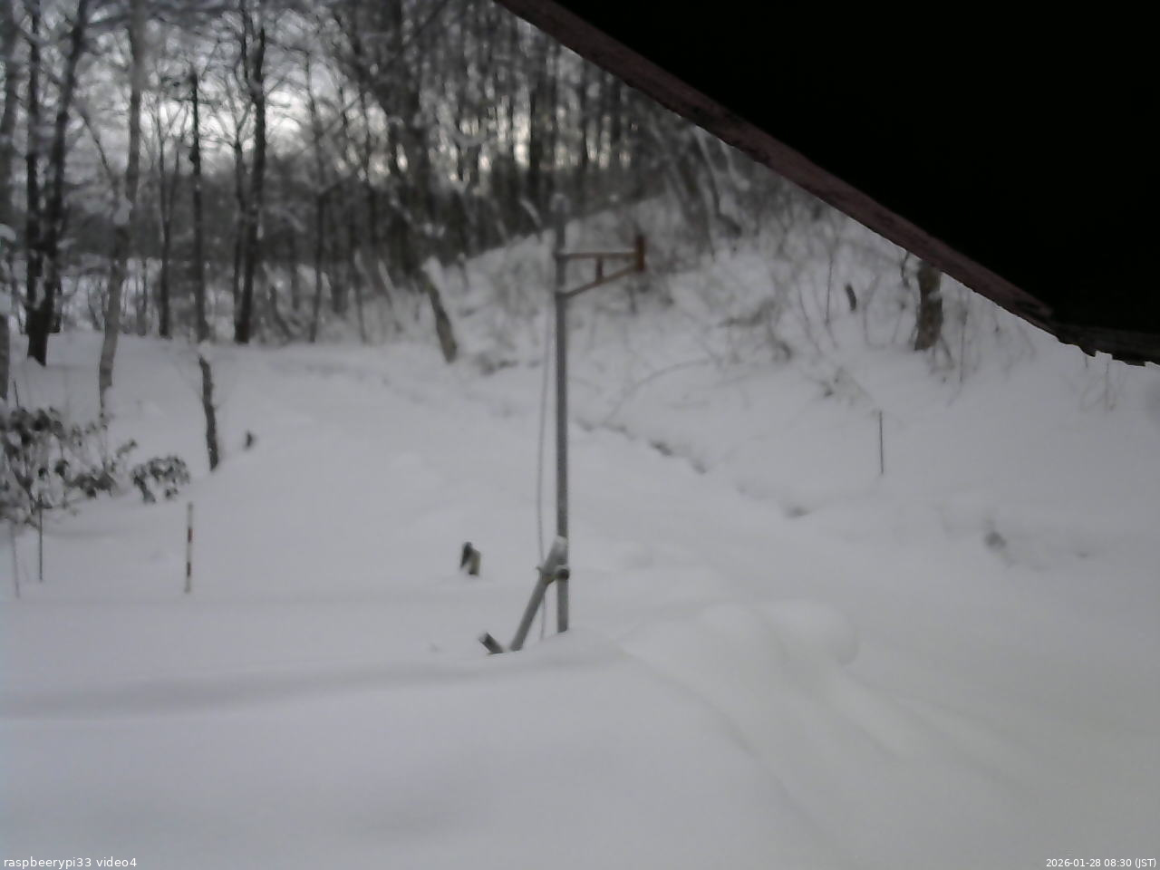 長野県菅平高原 ゆたか山荘 東側(坂下) 2026/01/28 08:30