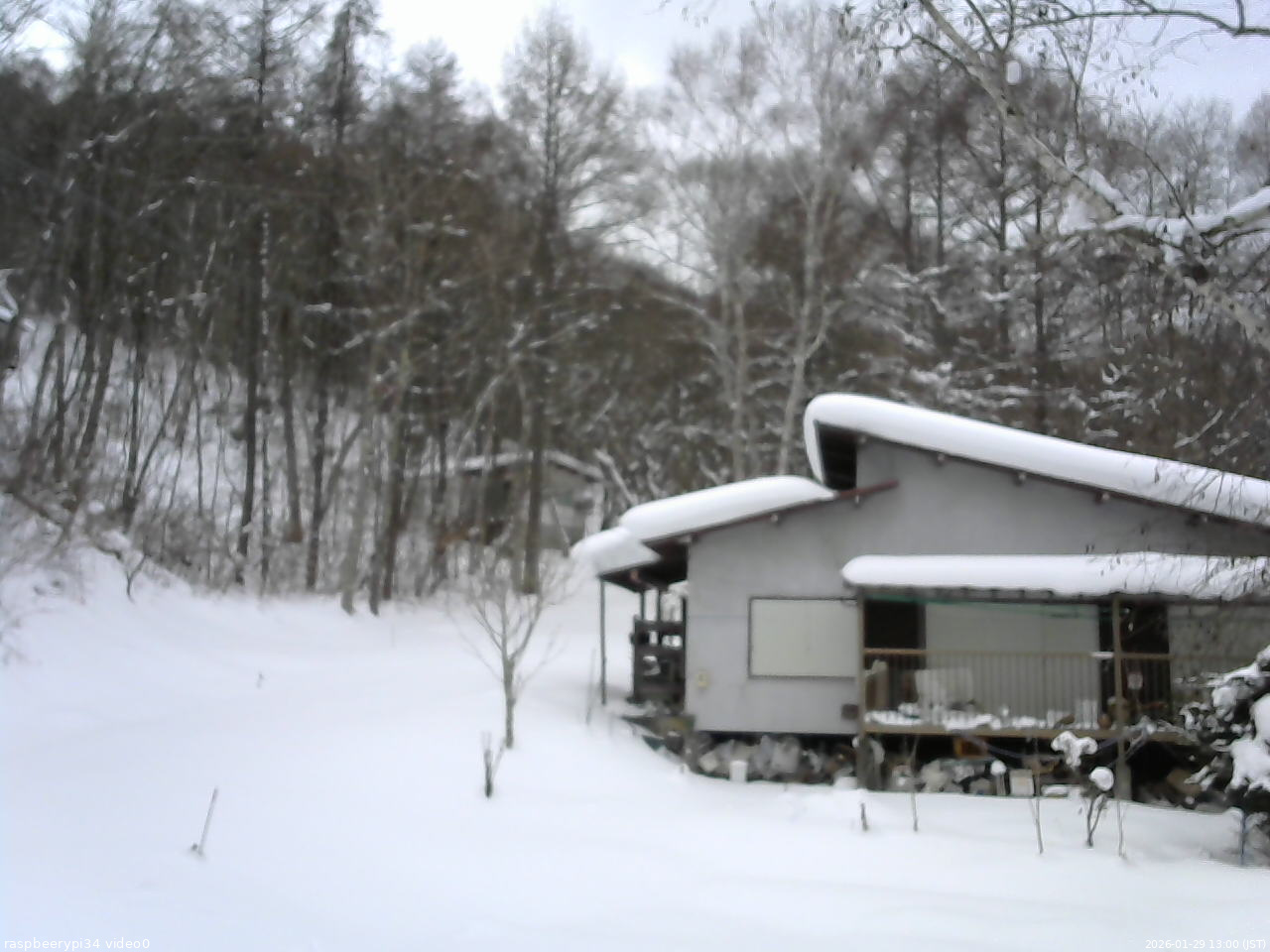 長野県菅平高原 ゆたか山荘 西側(坂上) 2026/01/29 13:00