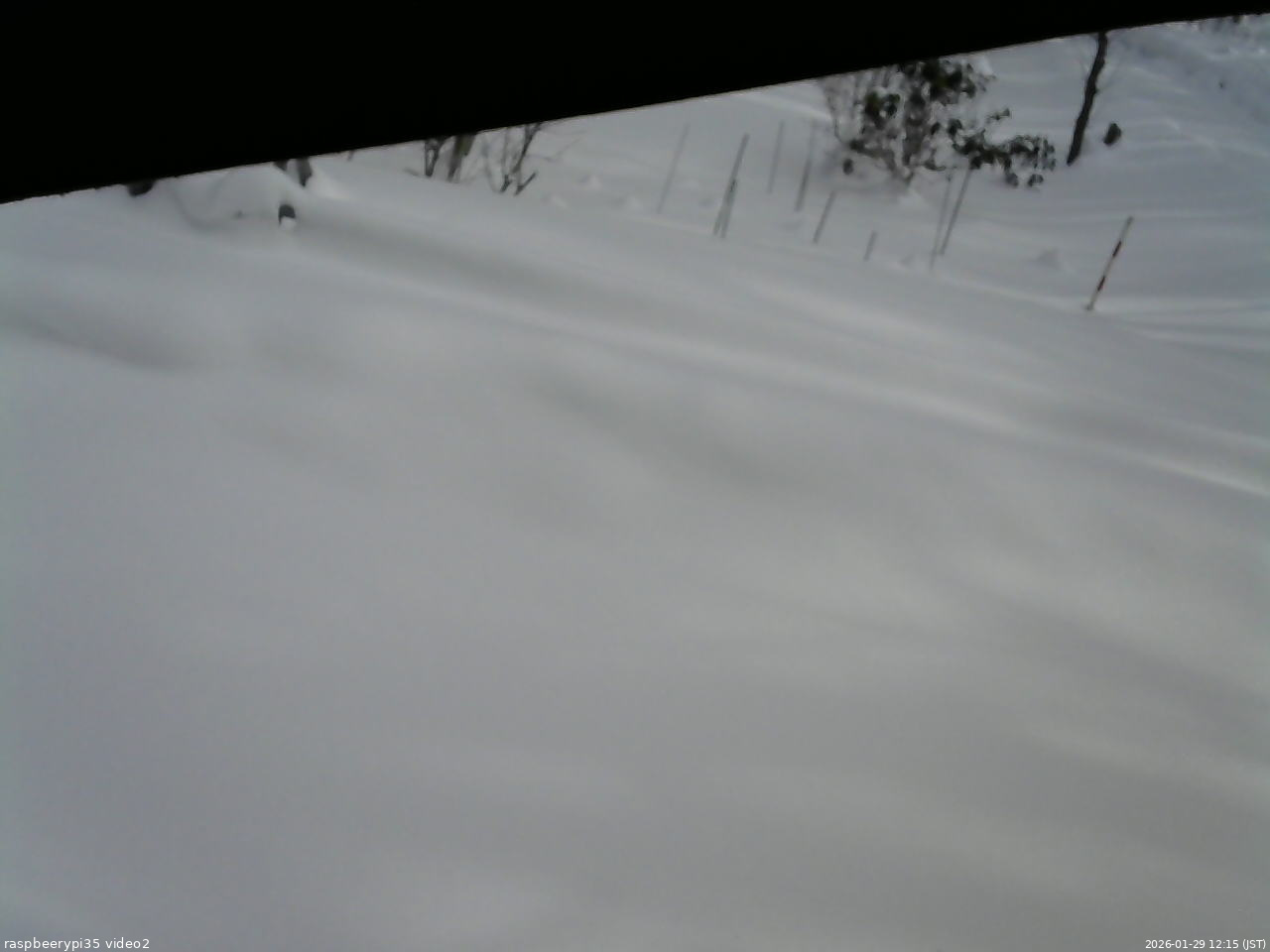 長野県菅平高原 ゆたか山荘 駐車場 2026/01/29 12:15