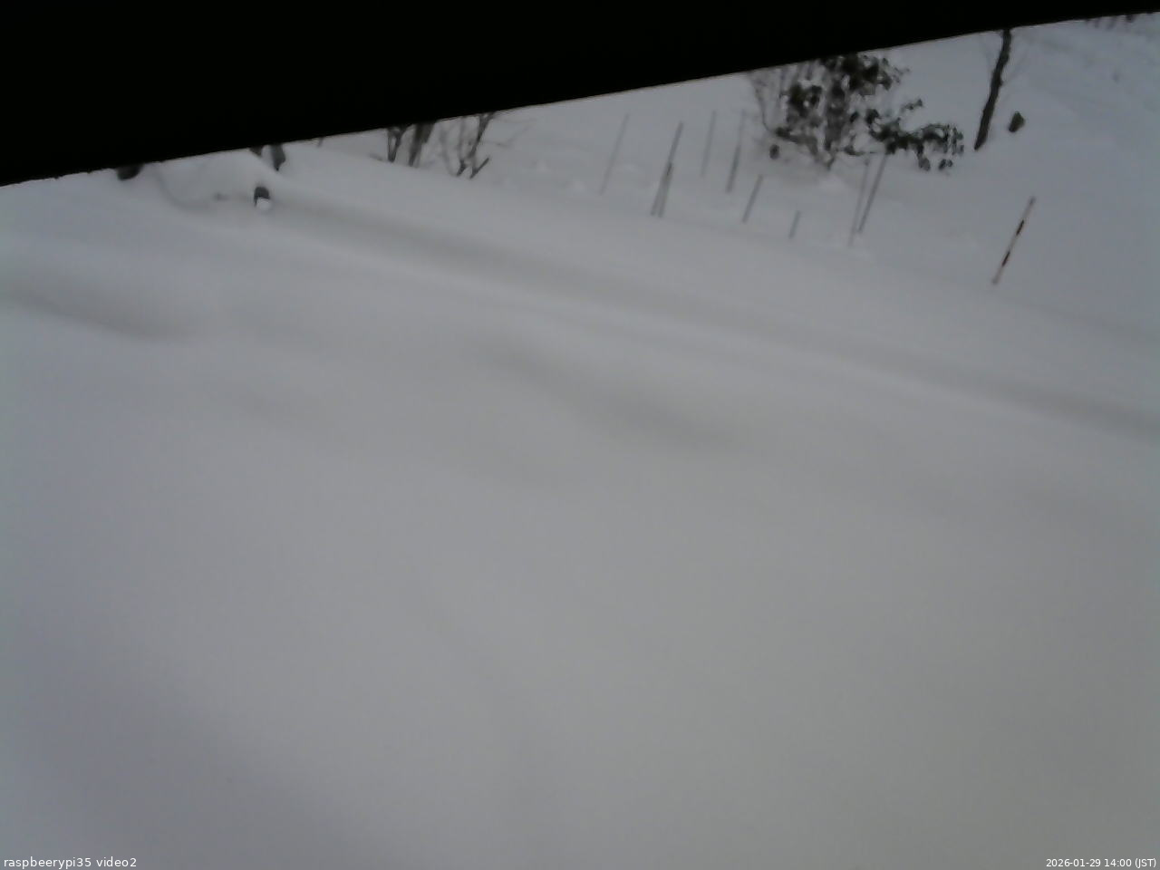 長野県菅平高原 ゆたか山荘 駐車場 2026/01/29 14:00