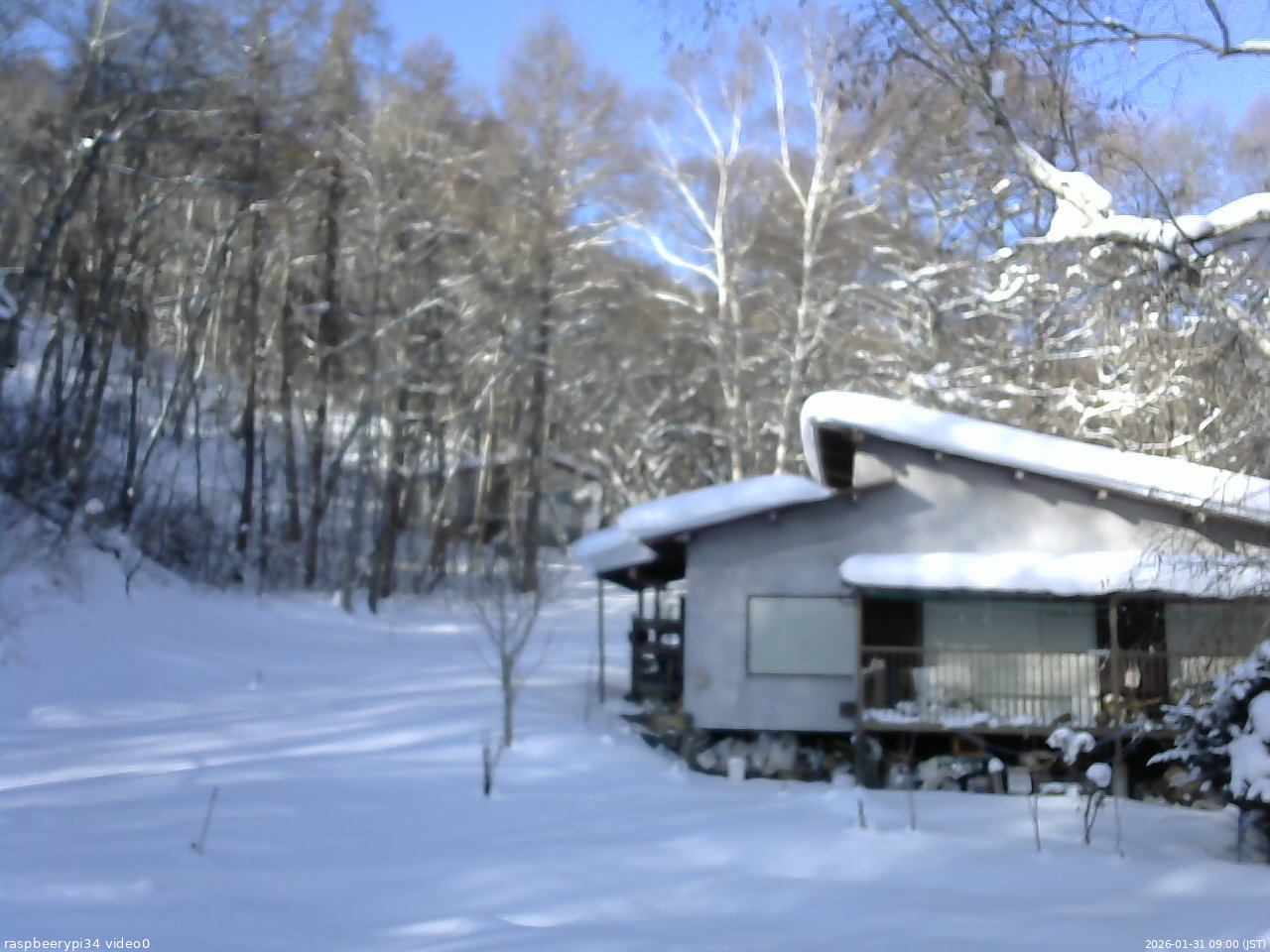 長野県菅平高原 ゆたか山荘 西側(坂上) 2026/01/31 09:00