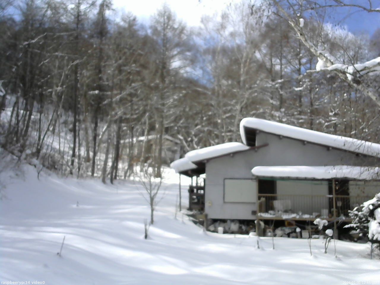 長野県菅平高原 ゆたか山荘 西側(坂上) 2026/01/31 12:45