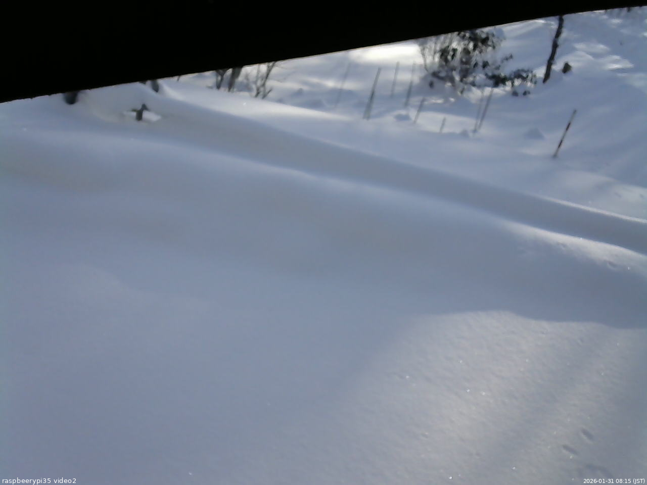 長野県菅平高原 ゆたか山荘 駐車場 2026/01/31 08:15