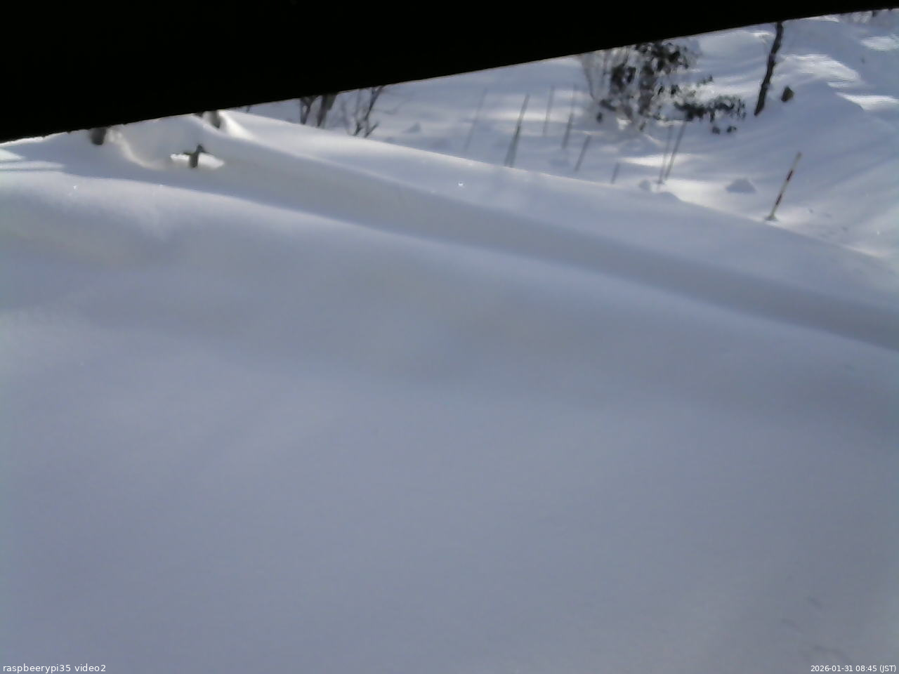 長野県菅平高原 ゆたか山荘 駐車場 2026/01/31 08:45