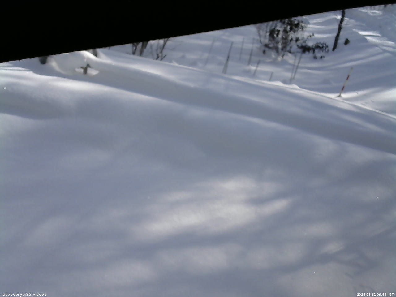 長野県菅平高原 ゆたか山荘 駐車場 2026/01/31 09:45