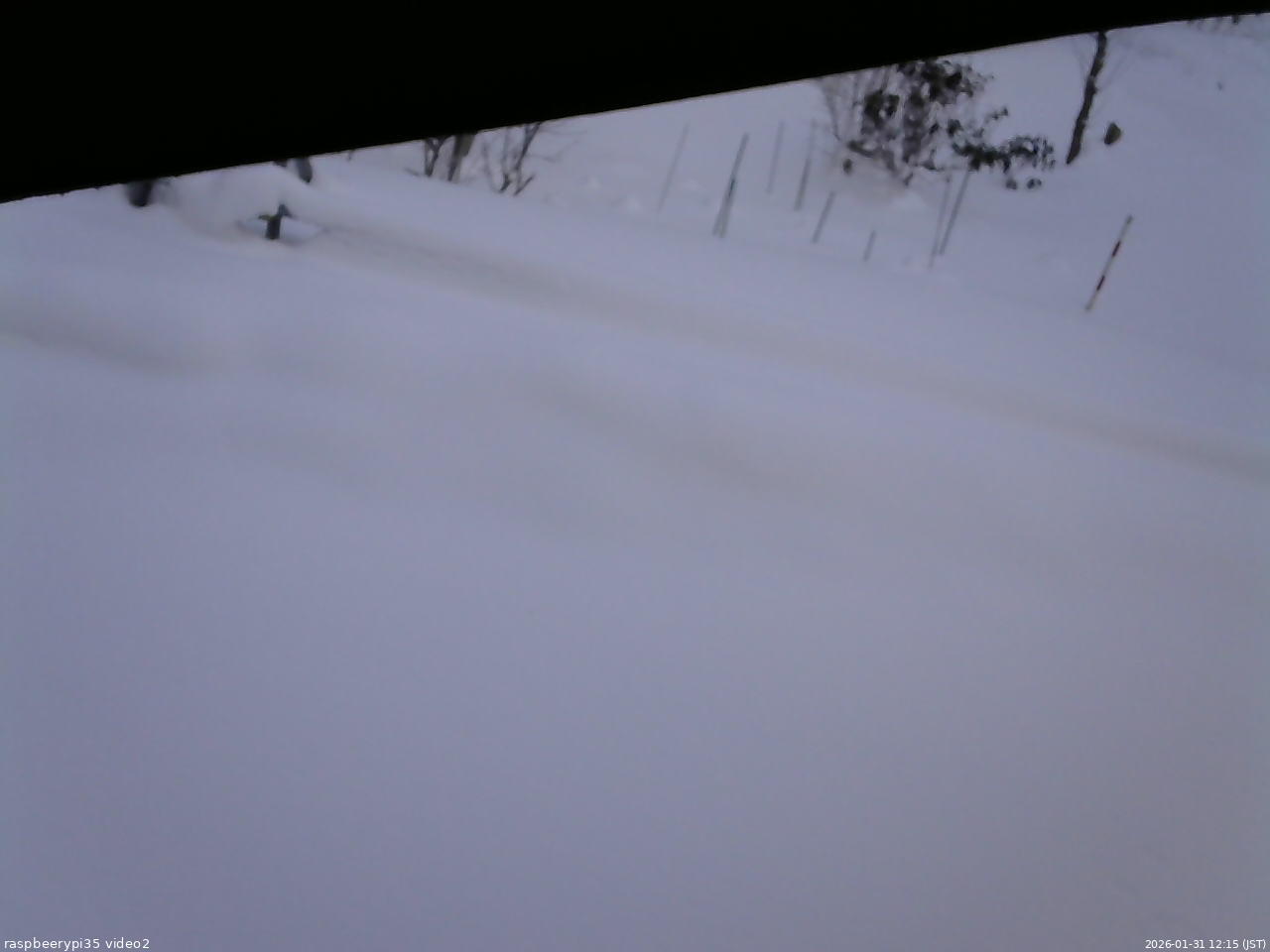 長野県菅平高原 ゆたか山荘 駐車場 2026/01/31 12:15