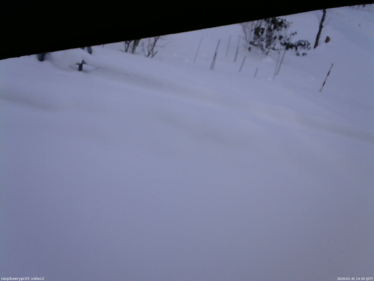 長野県菅平高原 ゆたか山荘 駐車場 2026/01/31 14:30