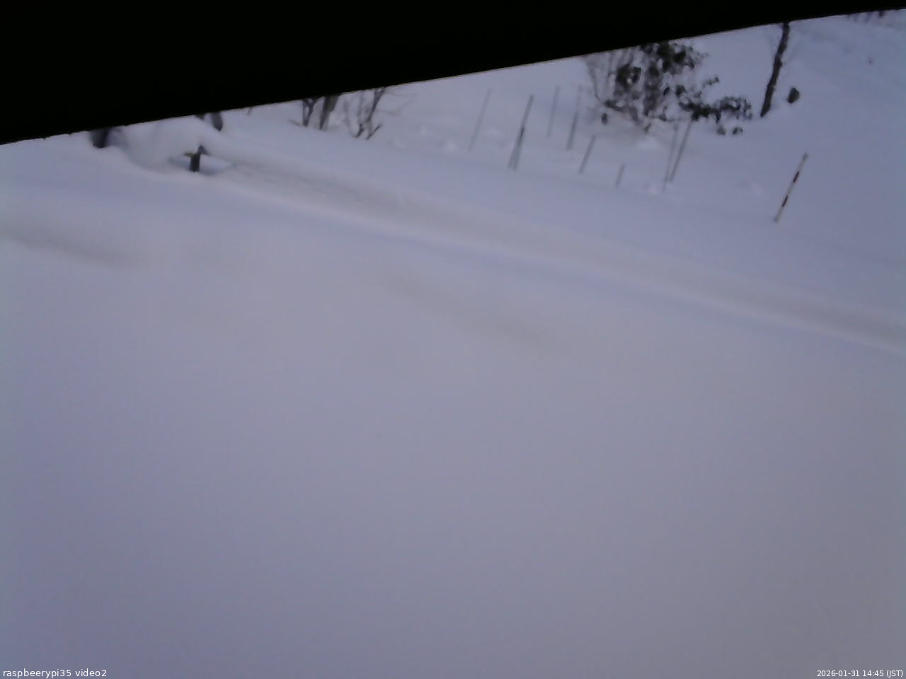 長野県菅平高原 ゆたか山荘 駐車場 2026/01/31 14:45