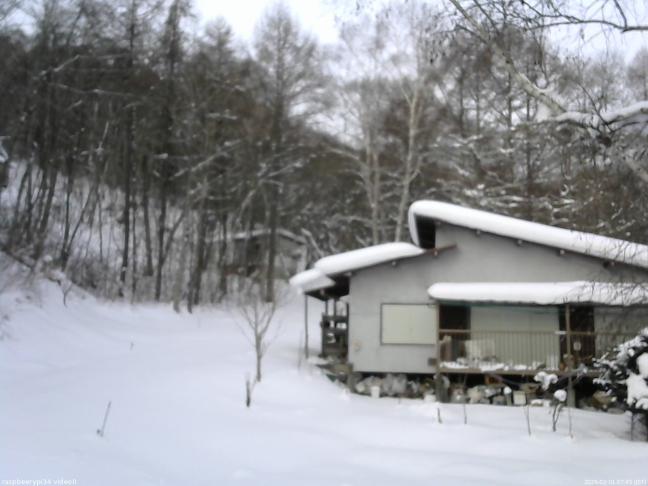 長野県菅平高原 ゆたか山荘 西側(坂上) 2026/02/01 07:45