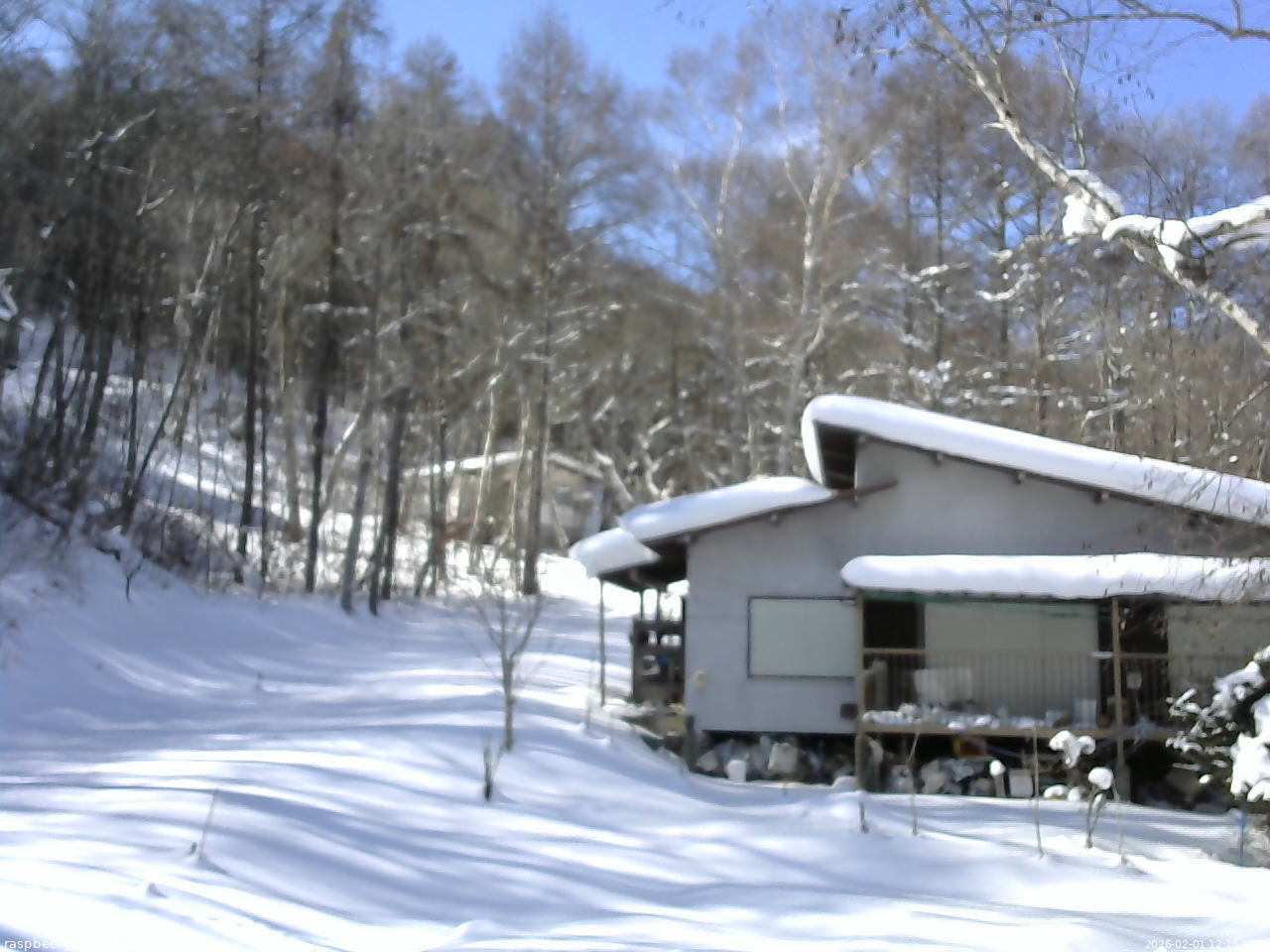 長野県菅平高原 ゆたか山荘 西側(坂上) 2026/02/01 12:15