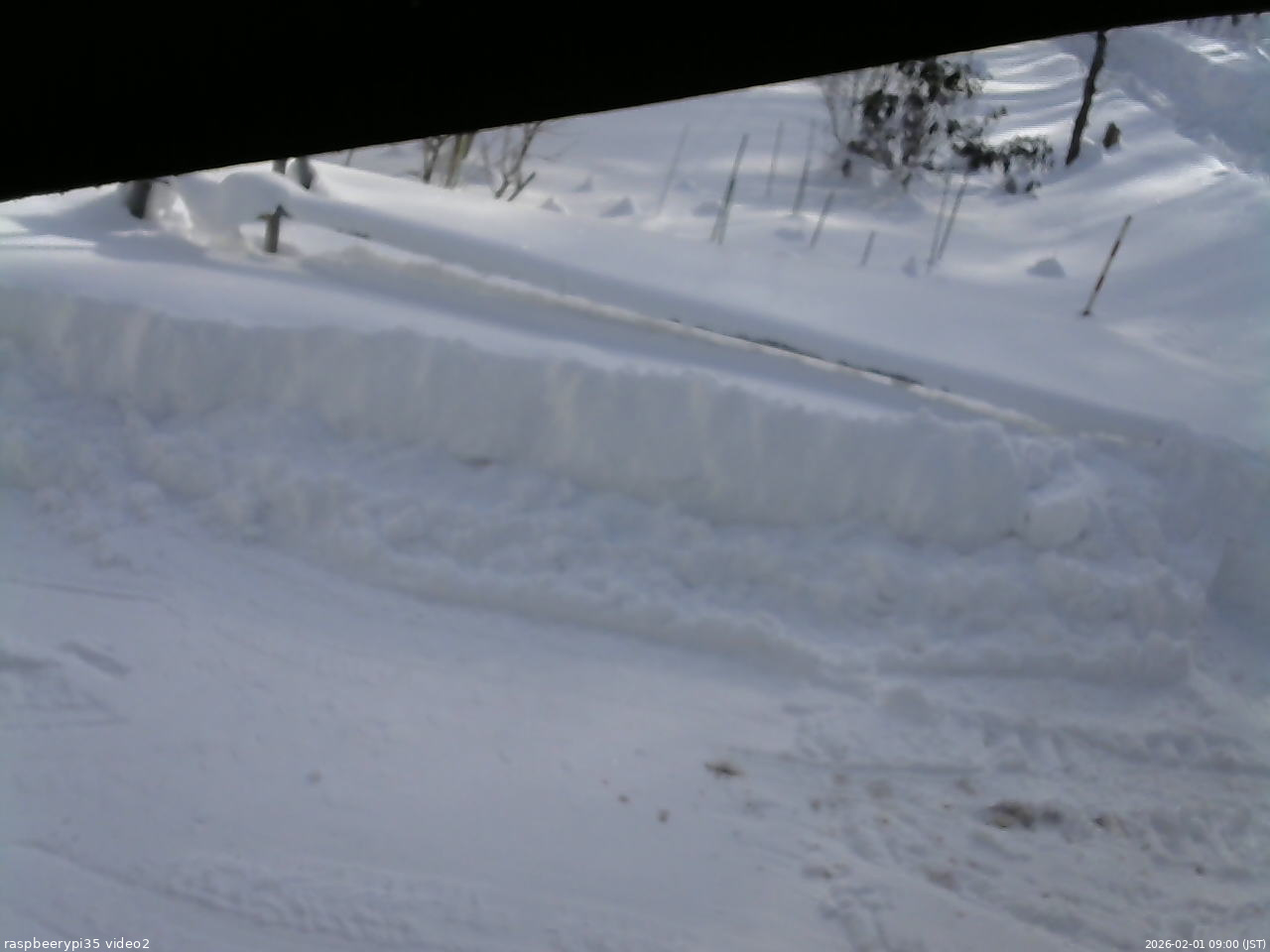 長野県菅平高原 ゆたか山荘 駐車場 2026/02/01 09:00