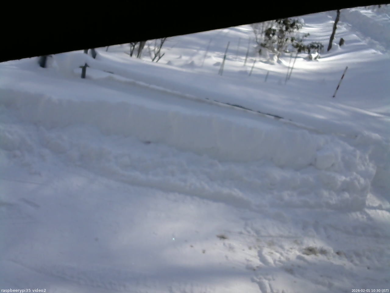 長野県菅平高原 ゆたか山荘 駐車場 2026/02/01 10:30