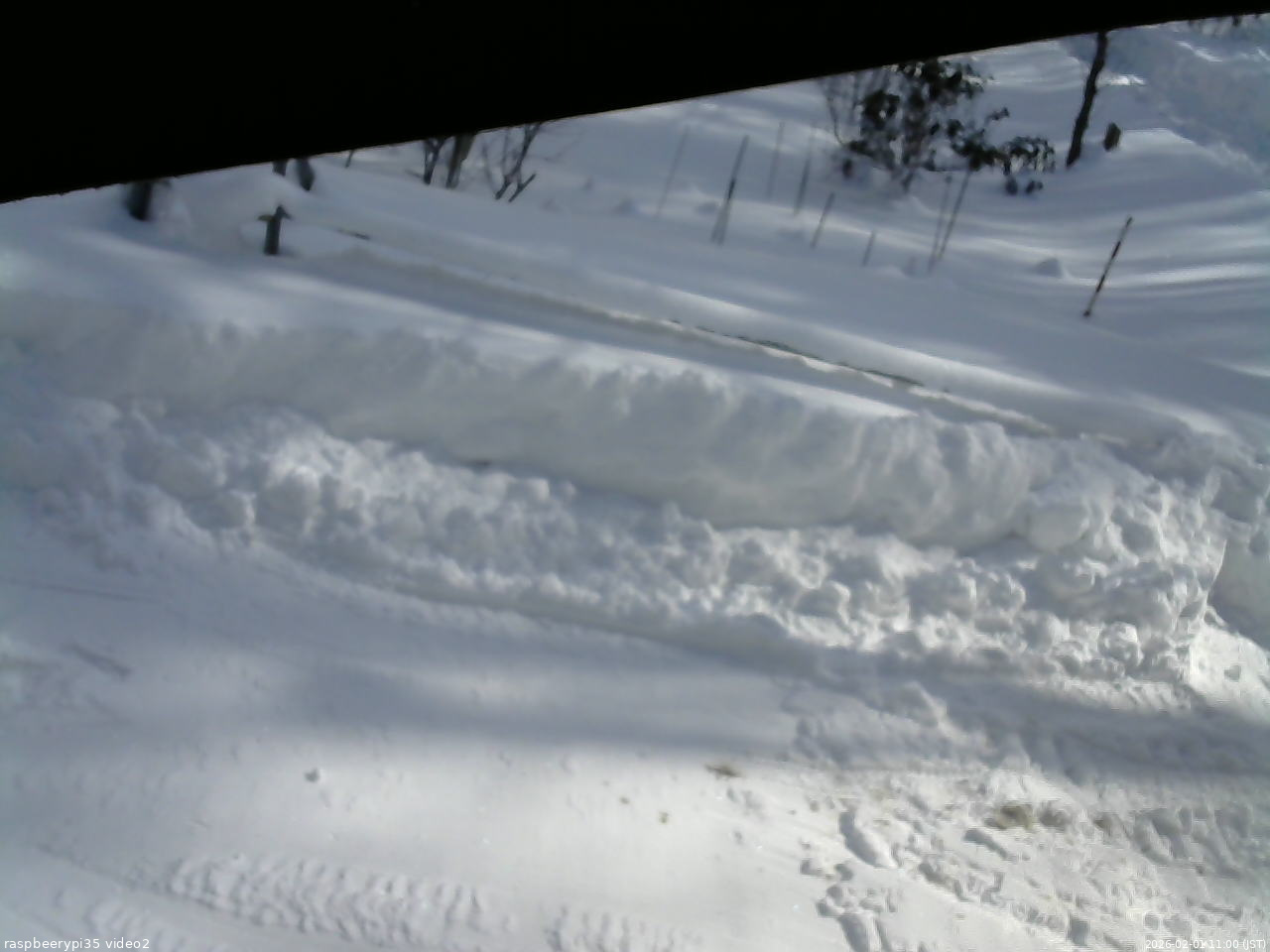 長野県菅平高原 ゆたか山荘 駐車場 2026/02/01 11:00