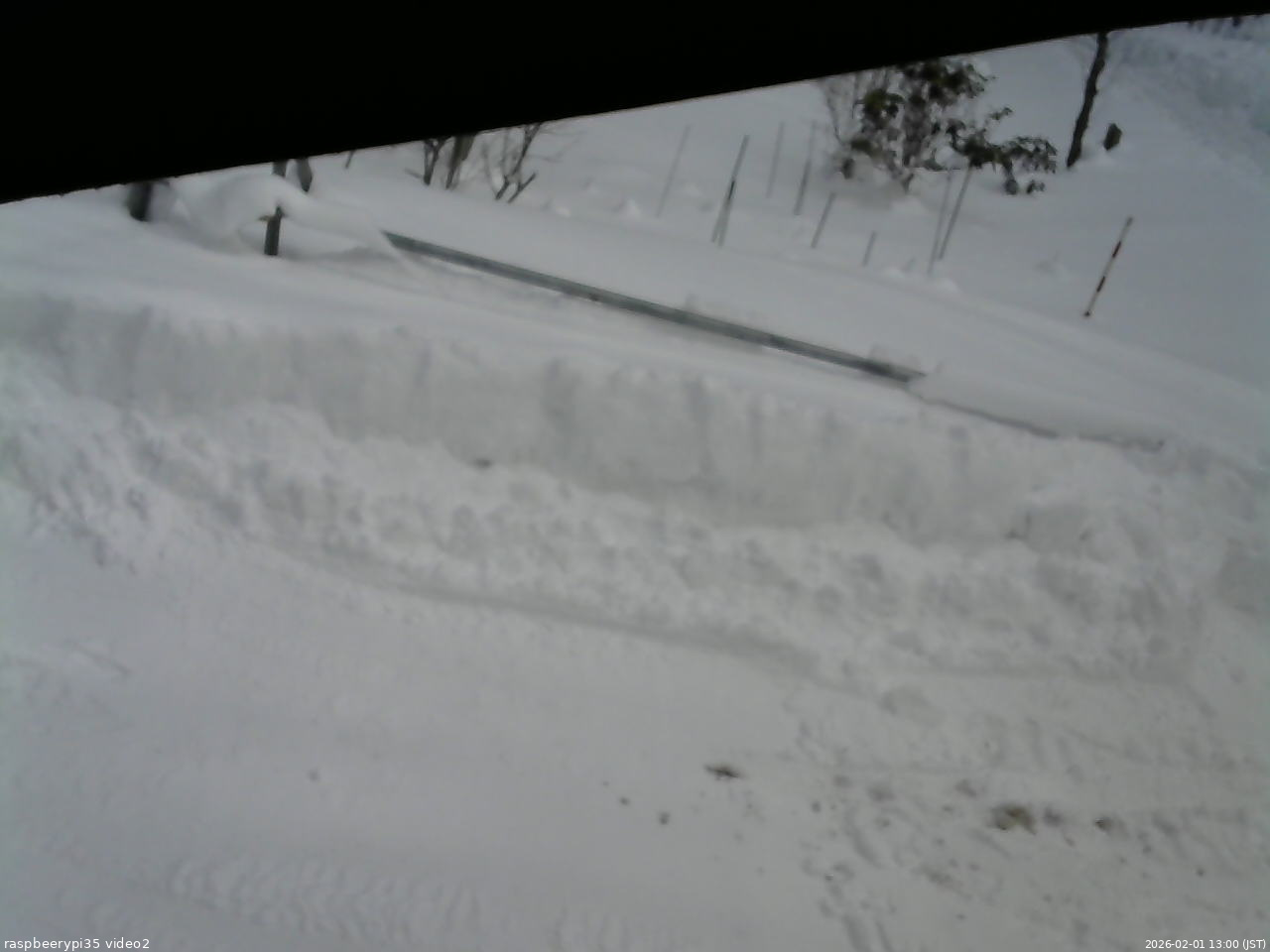 長野県菅平高原 ゆたか山荘 駐車場 2026/02/01 13:00