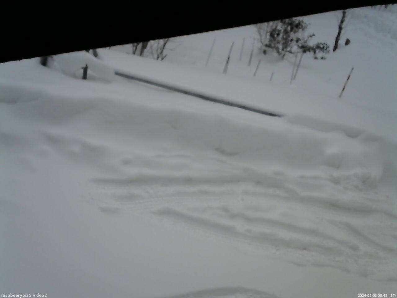 長野県菅平高原 ゆたか山荘 駐車場 2026/02/03 08:45