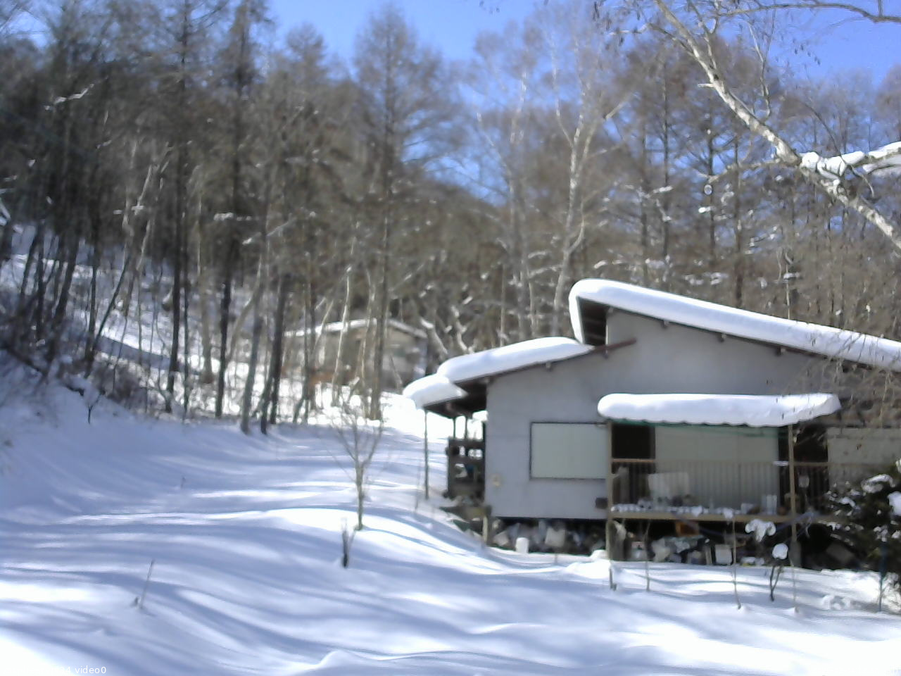 長野県菅平高原 ゆたか山荘 西側(坂上) 2026/02/04 12:30