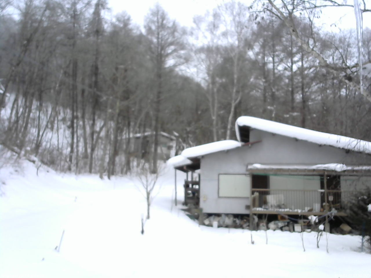 長野県菅平高原 ゆたか山荘 西側(坂上) 2026/02/07 07:30