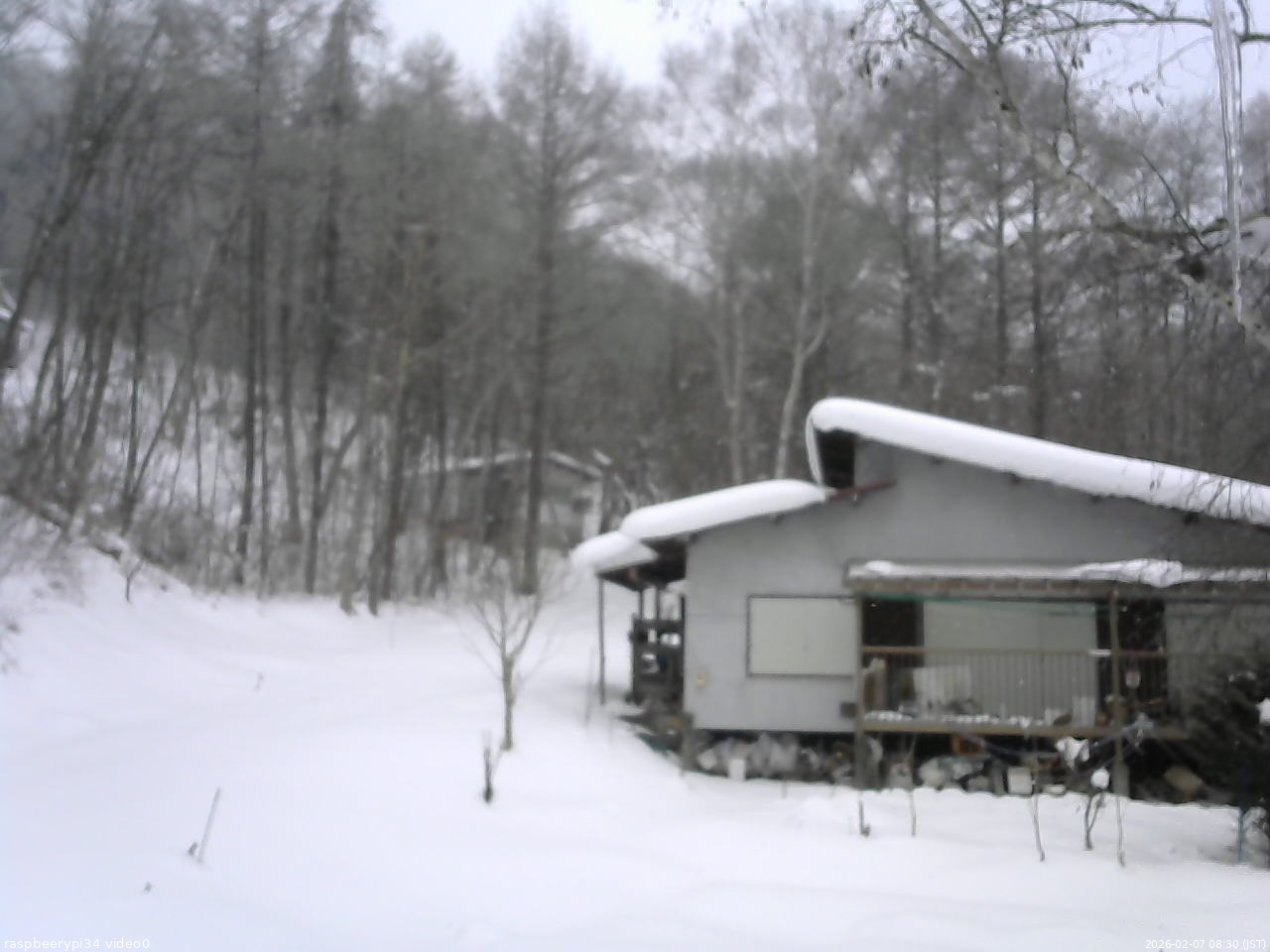 長野県菅平高原 ゆたか山荘 西側(坂上) 2026/02/07 08:30