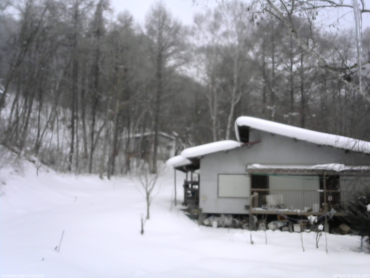 長野県菅平高原 ゆたか山荘 西側(坂上) 2026/02/07 08:45