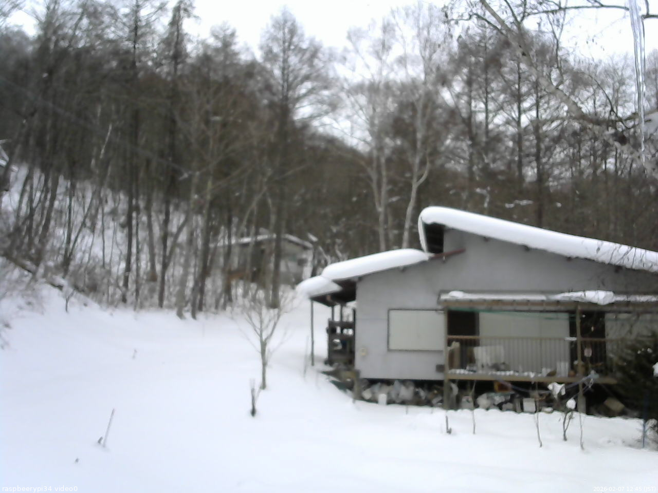 長野県菅平高原 ゆたか山荘 西側(坂上) 2026/02/07 12:45