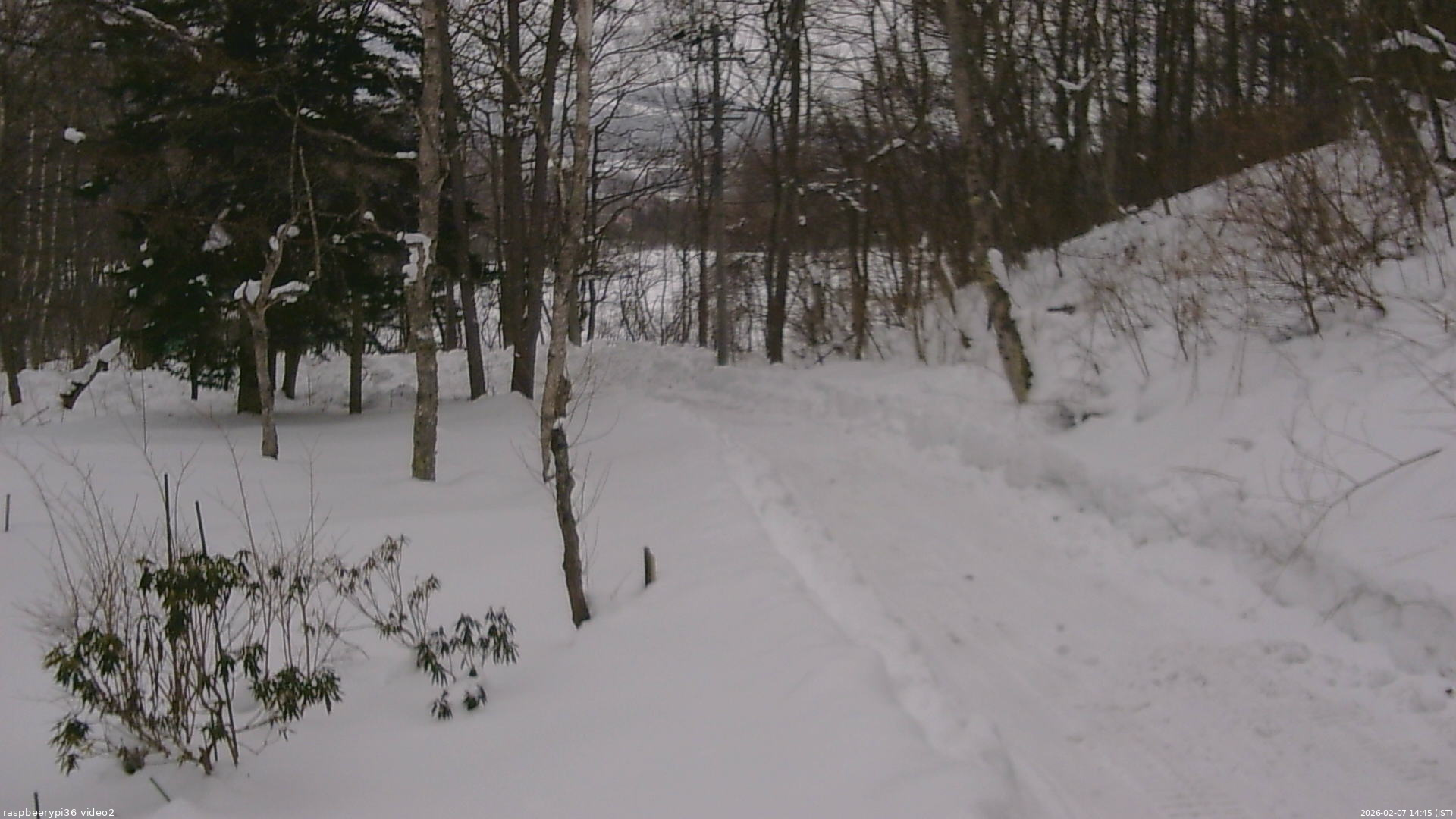 長野県菅平高原 ゆたか山荘 駐車場奥 2026/02/07 14:45