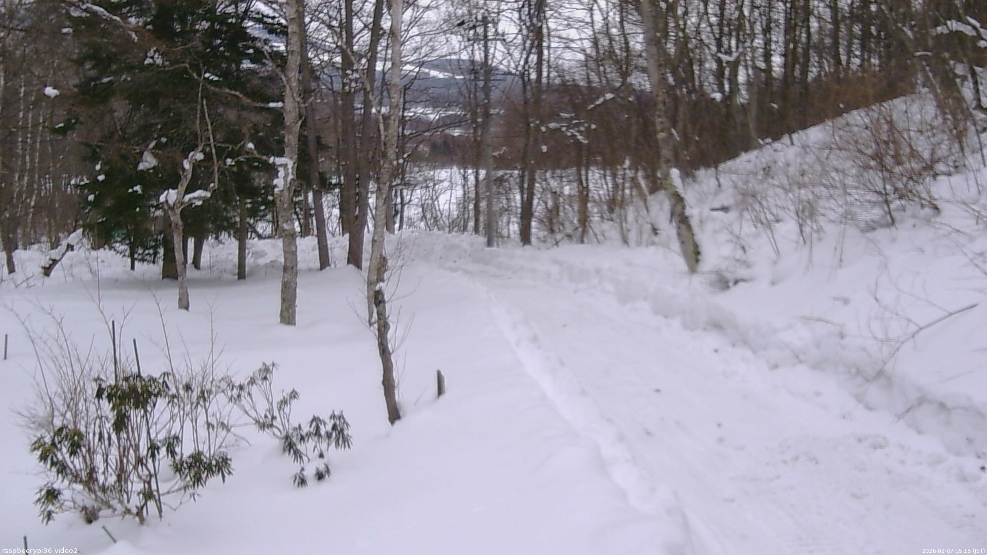 長野県菅平高原 ゆたか山荘 駐車場奥 2026/02/07 15:15